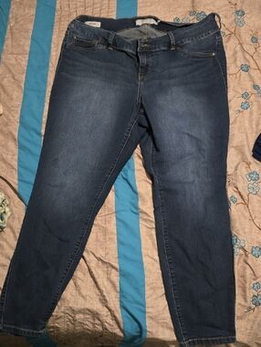 torrid Medium Blue Stretch Jeggings